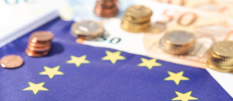 Guía sobre ayudas directas